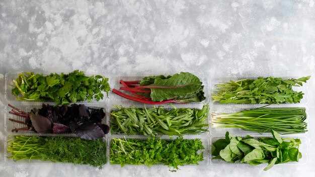 Harvesting and Preparing Basil for Freezing