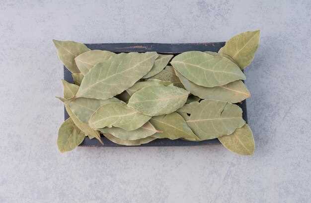 Discover the Ultimate Guide – Can You Freeze Bay Leaves?