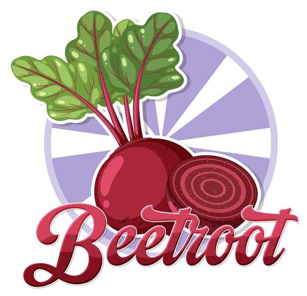 Freezing Process Step-by-Step: Preserving the Durability of Beets