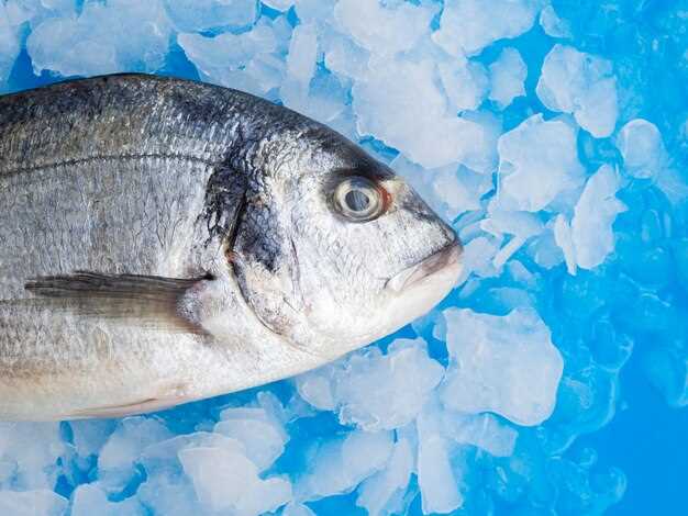 How to Freeze Bluefish