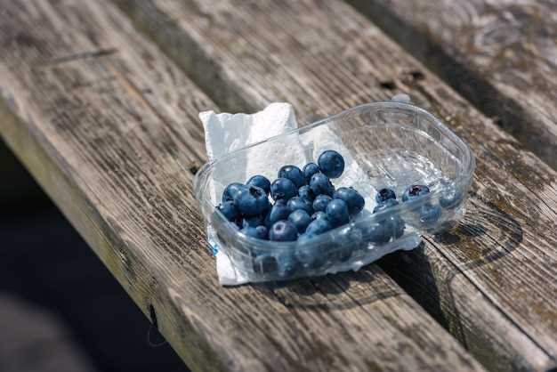 Benefits of Freezing Blueberries