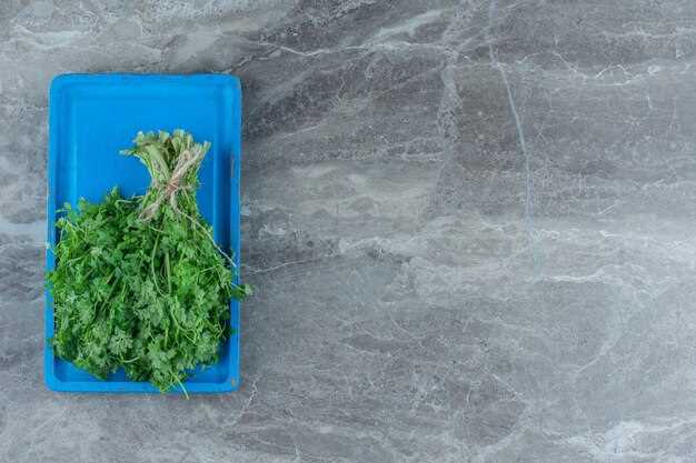 Ultimate Guide – How to Freeze Broccoli Rabe Like a Pro