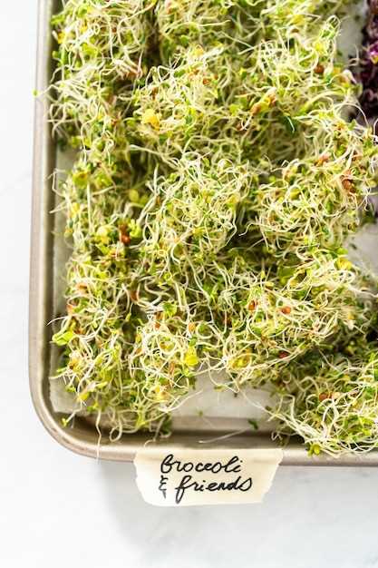 How to Freeze Broccoli Slaw