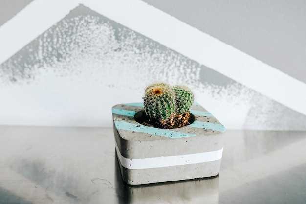 Freezing Cactus for Future Use