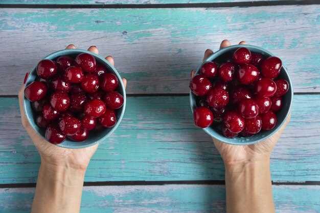 Selecting the Best Cherries for Freezing