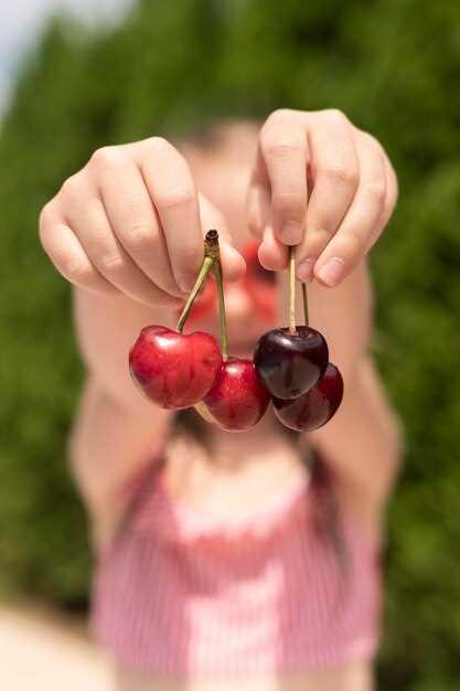 How to Freeze Cherries Properly