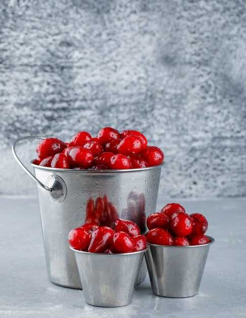 Freezing Cherries – Discover the Durability and Benefits of Preserving This Delicious Fruit