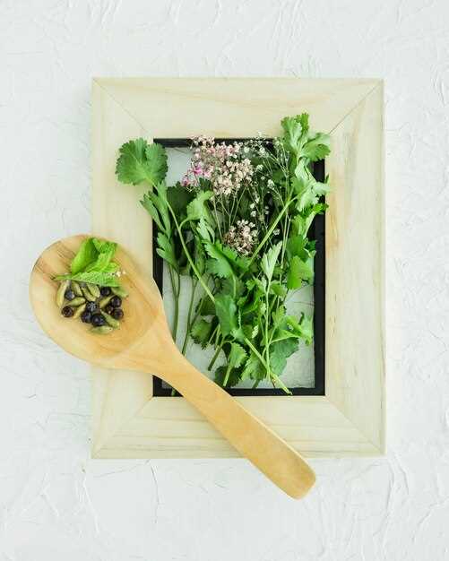 How to Properly Store Frozen Coriander