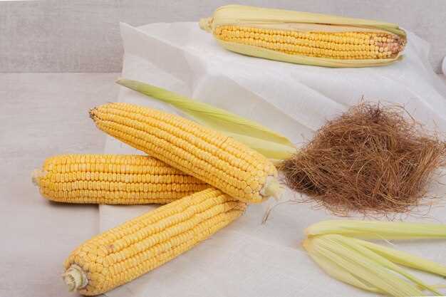 Benefits of Freezing Corn on the Cob