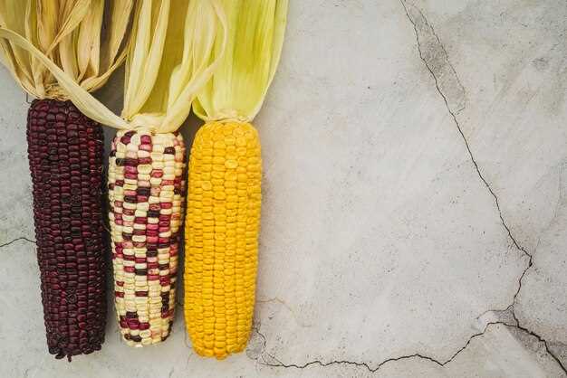 Freezing Corn on the Cob: The Basics