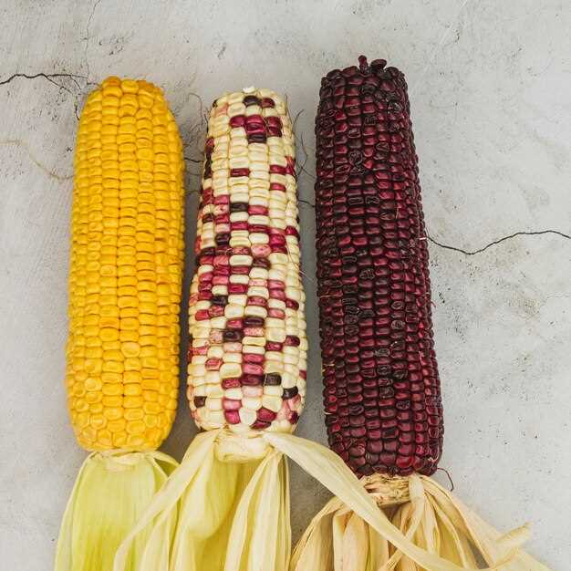 Freezing Corn on the Cob – How to Preserve Its Freshness and Durability