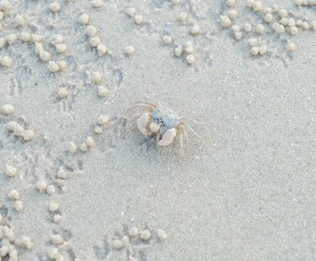 Preserving Freshness of Crab in the Shell by Freezing