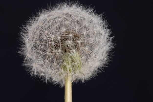 Benefits of Freezing Dandelions