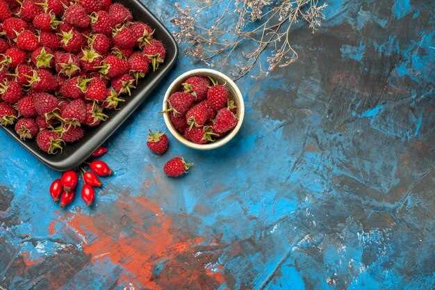 Using Airtight Containers to Freeze Dried Cranberries