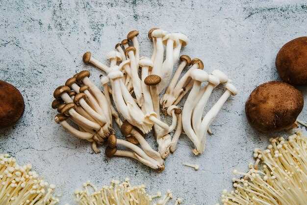 Is freeze drying effective for magic mushrooms?