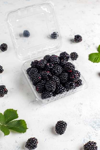 Preserving Nutritional Value of Frozen Elderberries