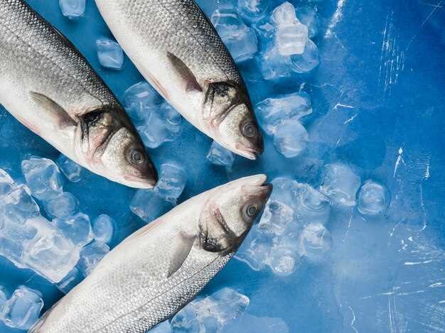 How to Properly Freeze Fish with Guts