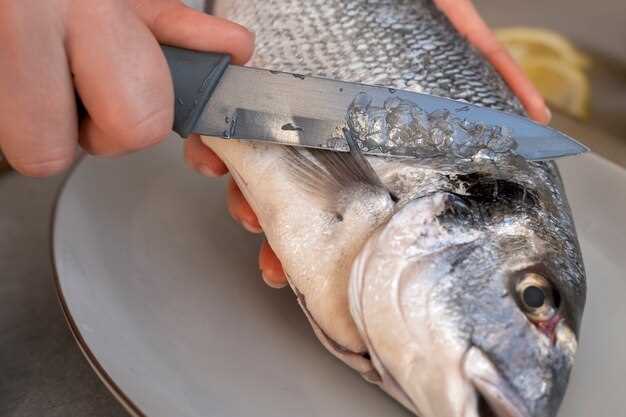 Freezing Fish with Guts – Everything You Need to Know