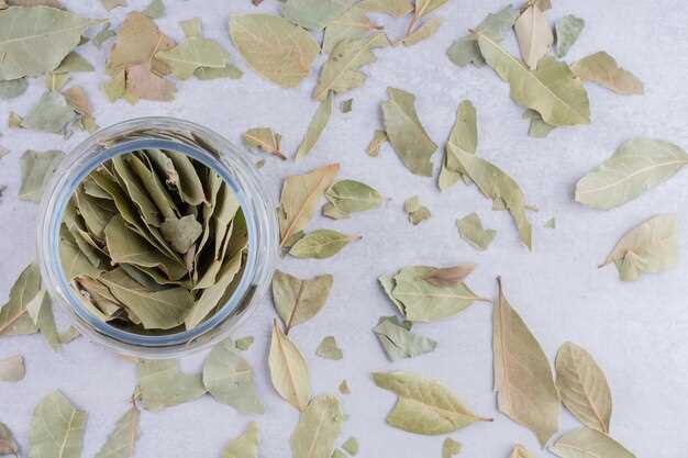 Benefits of Freezing Fresh Bay Leaves