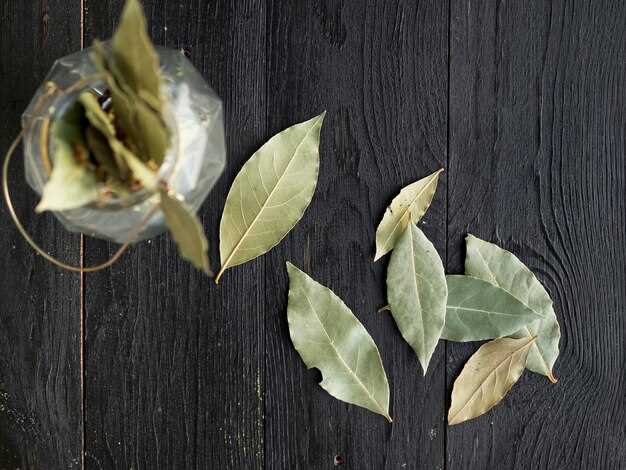 Freeze Fresh Bay Leaves – A Comprehensive Guide to Preserving Fresh Flavors