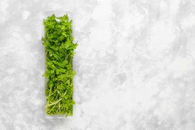 Can You Freeze Fresh Herbs? Discover the Best Ways to Preserve and Extend the Shelf Life of Your Herbs!