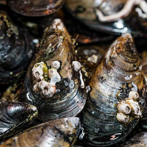 Freezing Fresh Mussels: Tips and Guidelines