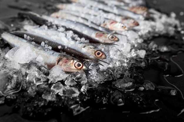 How to Freeze Gefilte Fish