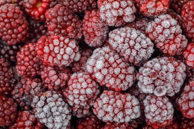 Preserving Mulberries for the Long Haul: A Comprehensive Guide to Freezing