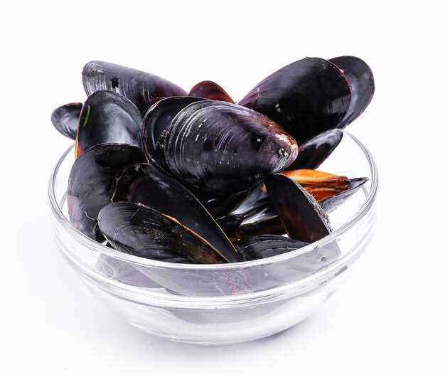 Can Mussels in Their Shells Be Frozen?