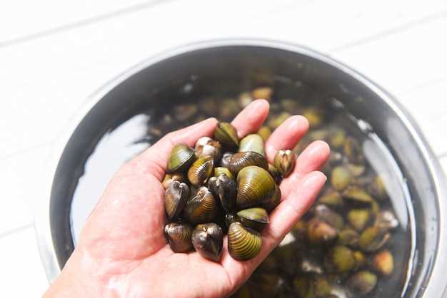 Everything You Need to Know About Freezing Olives – Tips, Tricks, and Benefits