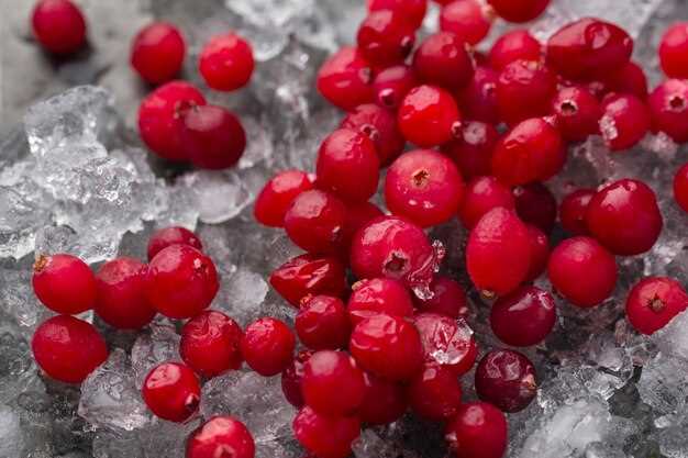 Tips for Properly Freezing Raspberries