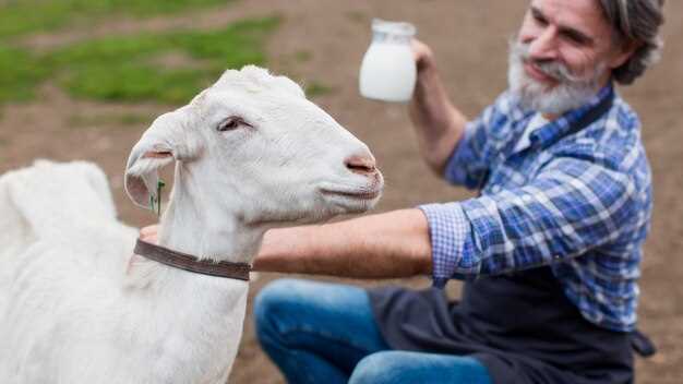 Can You Safely Freeze Raw Goat Milk? A Comprehensive Guide