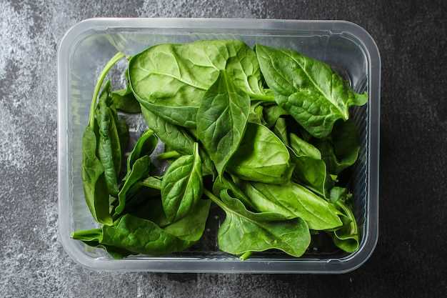 Freezing Swiss Chard – A Guide to Preserving its Freshness and Durability