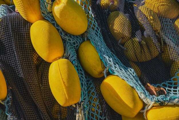 Preparing Yellow Squash for Freezing