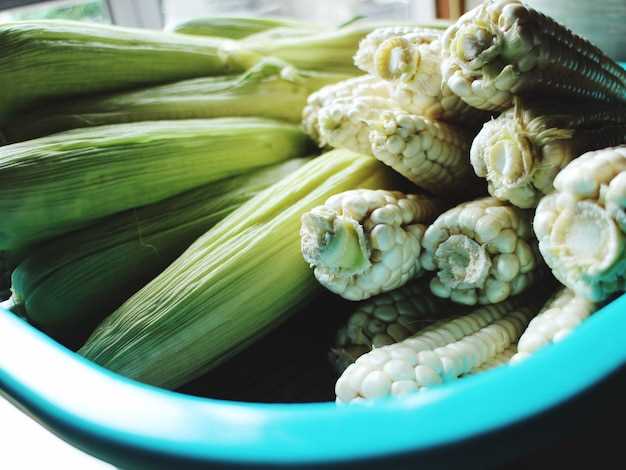 Conclusion: Freezing and Storing Zucchini Flowers