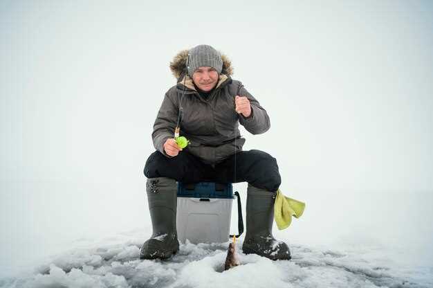 Outdoor Freezers – Tips for Keeping Your Freezer Outside Safely