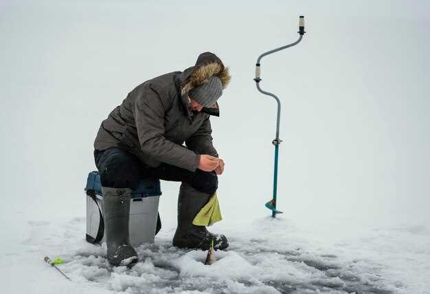 Assessing the Condition of Your Lawn After the First Freeze