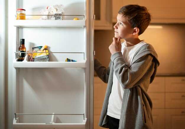 Converting a Freezer into a Refrigerator