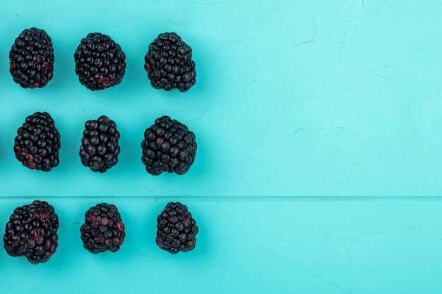 How Long Do Blackberries Last?