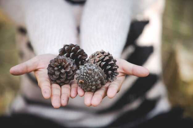 Do Blackberries Go Bad? The Ultimate Guide to the Durability of Blackberries