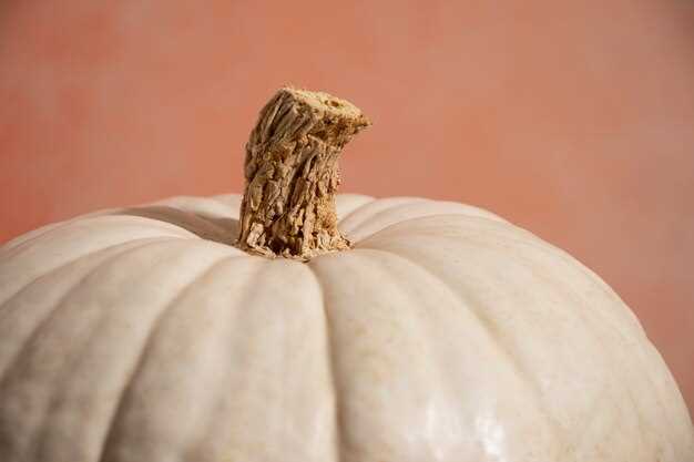 How Long Can Pumpkin Seeds Last?