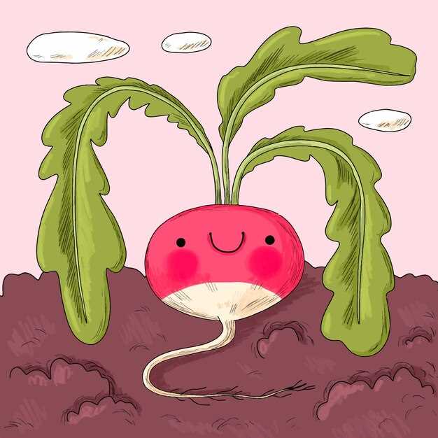 Are Radishes Prone to Spoiling? A Look at Their Durability