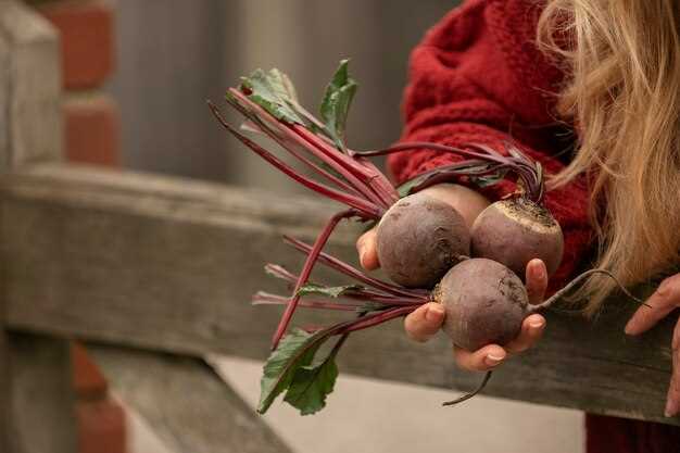 The Difference Between Fresh and Spoiled Radishes