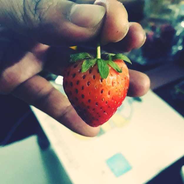 Are Strawberries Perishable? The Truth About Their Shelf Life and Durability