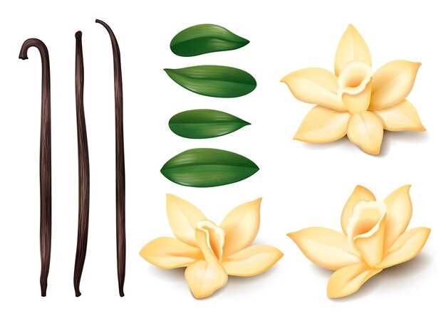 Are Vanilla Pods Durable? Do They Go Bad? Find Out Here!
