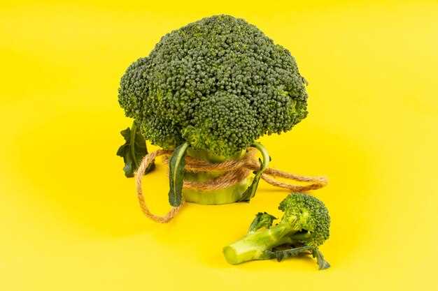 Properly Storing Cooked Broccoli