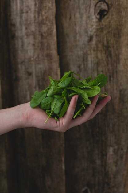 Factors affecting spinach's durability