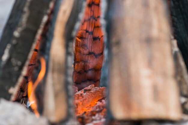 Expert Guide – How Long Can You Safely Freeze Brisket for Maximum Flavor?