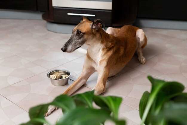 How Long Can You Safely Freeze Freshpet Dog Food? Expert Advice and Guidelines