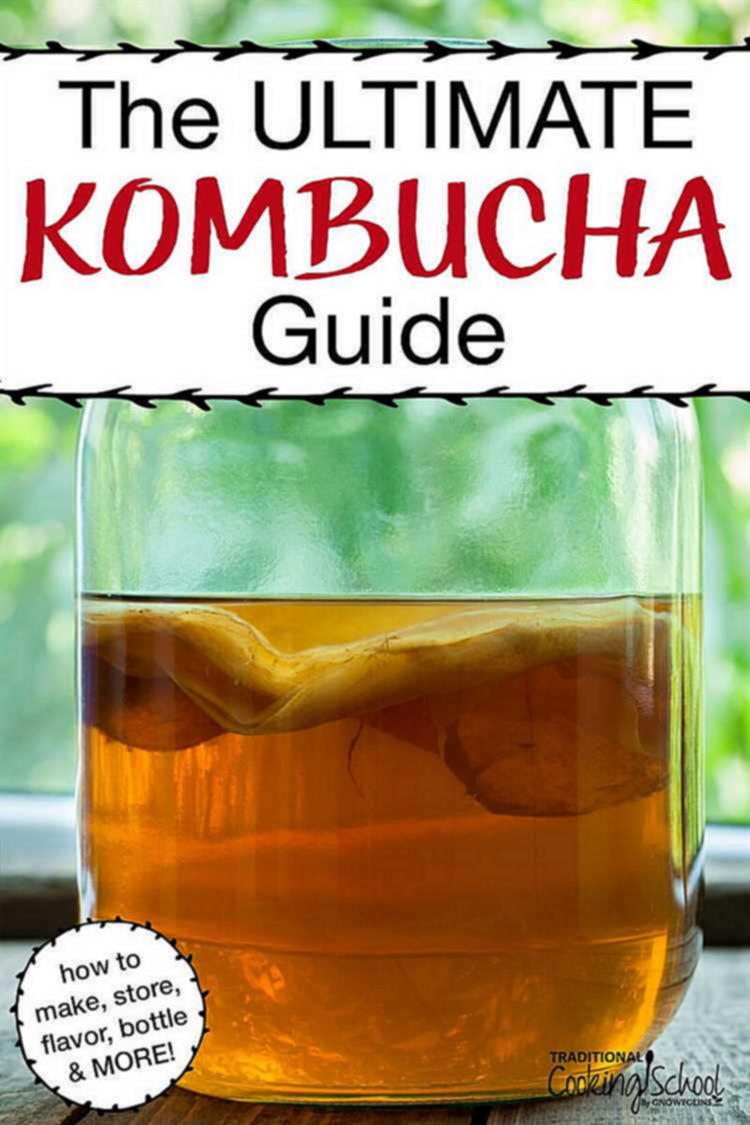 Conclusion: Protecting Kombucha from Freezing